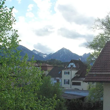 Scheibel